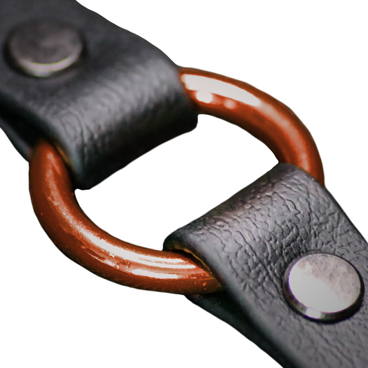 "ORANGE DIVERSITY" - Vegan